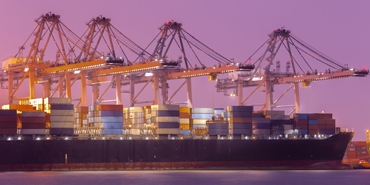 custom logistics